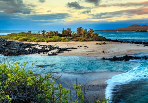 galapagos-1--768x469